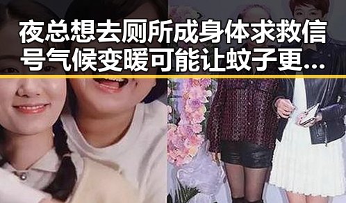 夜总想去厕所成身体求救信号 气候变暖可能让蚊子更疯狂
