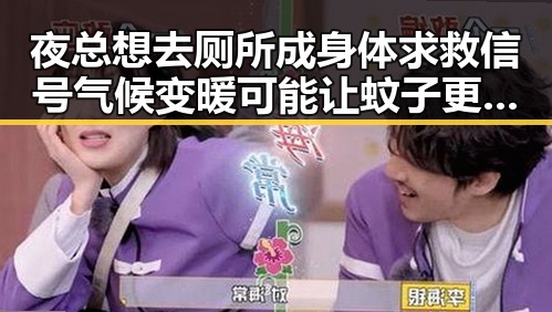 夜总想去厕所成身体求救信号 气候变暖可能让蚊子更疯狂