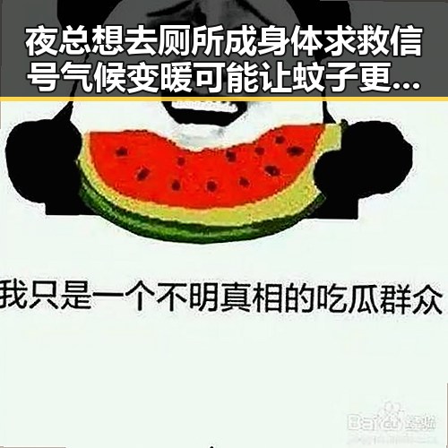 夜总想去厕所成身体求救信号 气候变暖可能让蚊子更疯狂