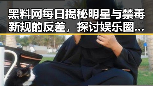黑料网每日揭秘明星与禁毒新规的反差，探讨娱乐圈隐秘面貌与市场乱象