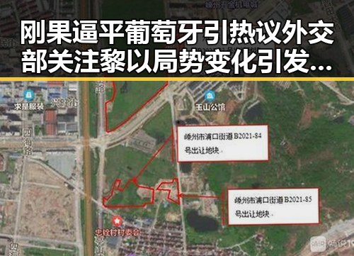 刚果逼平葡萄牙引热议外交部关注黎以局势变化引发新思考
