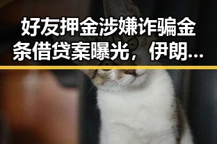 好友押金涉嫌诈骗金条借贷案曝光，伊朗外交部回应美伊谅解备忘录引发关注