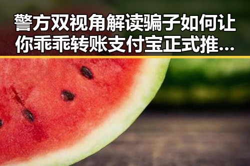 警方双视角解读骗子如何让你乖乖转账支付宝正式推阿宝AI版