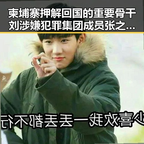 柬埔寨押解回国的重要骨干刘涉嫌犯罪集团成员 张之臻未入选亚运会引发讨论